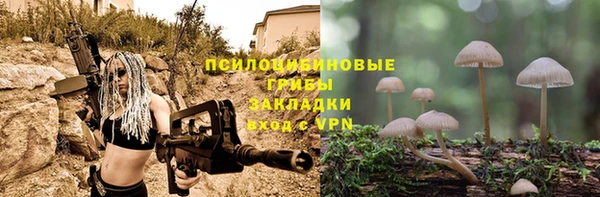 синтетический гашиш Алексеевка
