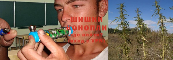 стаф Дмитриев
