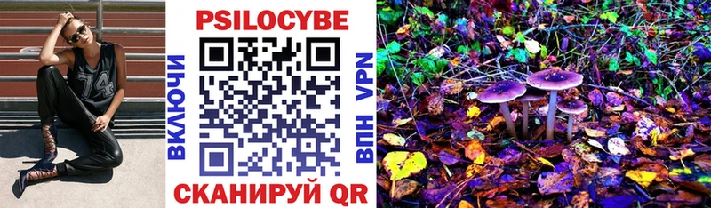 МЕГА сайт  Александров  Псилоцибиновые грибы Psilocybe 